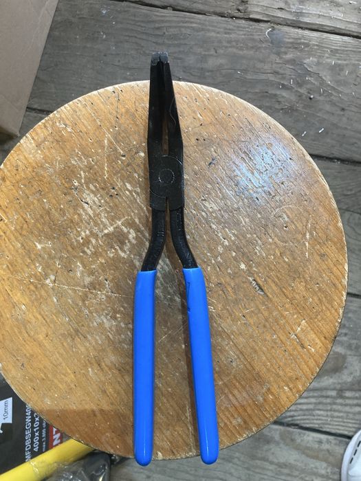 Cleste faltuit drept  germania Nou