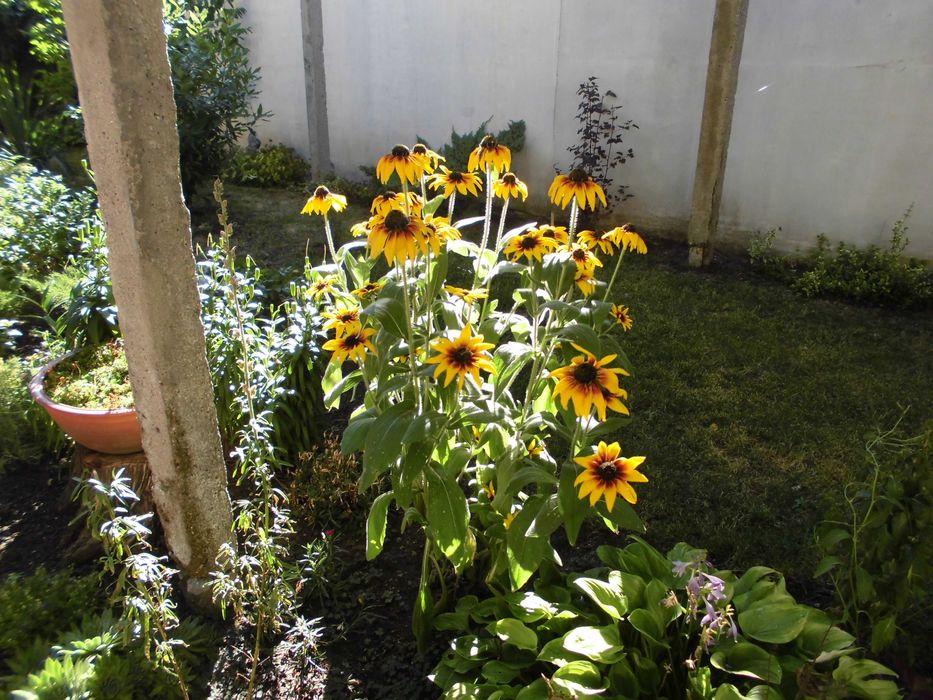 Фотоапарат Casio 16,1MP