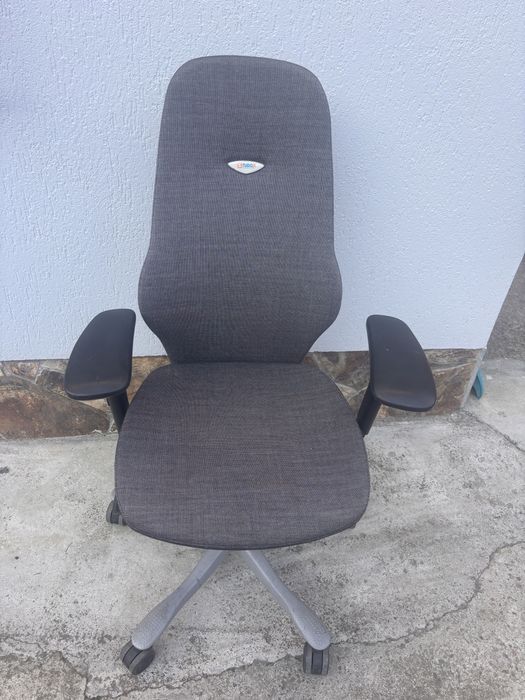 Scaune birou sau lucru