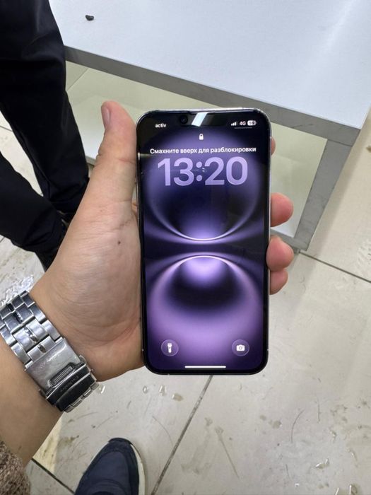 13 про 256гб емкость 100%