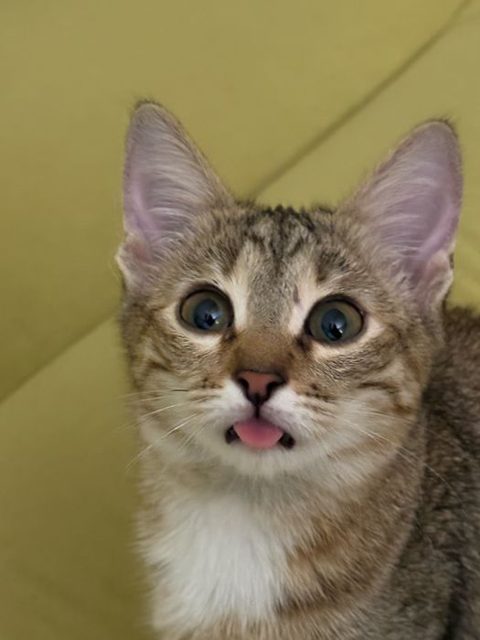 Только ответственным