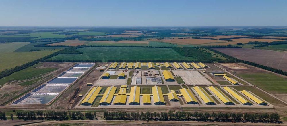 Продаваме акции,за да разрастнем дейноста си,акционерно дружество,ферм