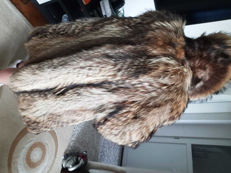 Haina blana naturala Lup par lung