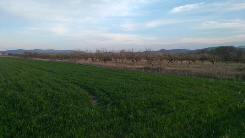 Продава се Земеделски имот в с. Овощник, Област Стара Загора -  кв.м за 3425 €/дка - Снимка #6