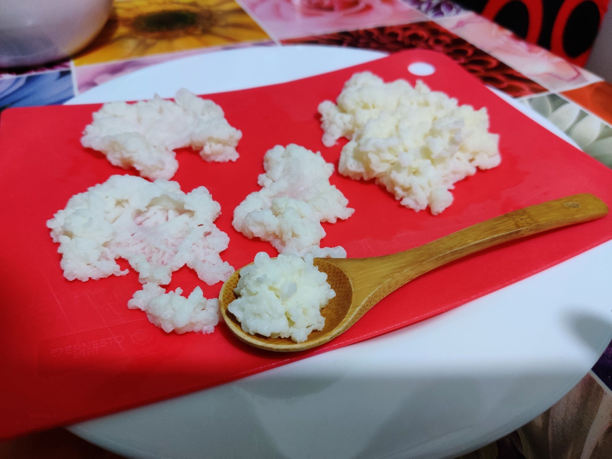 Propiul tău Chefir gustos,acasă, la tine în bucătărie ! (Kefir Caucaz)