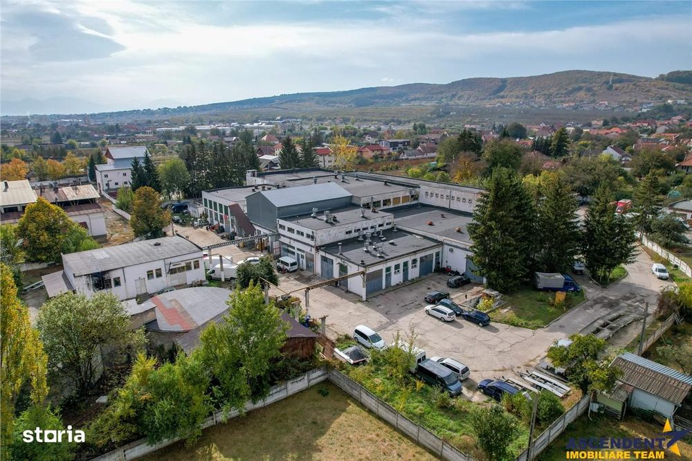 FILM! Ansamblu: Spatii comerciale, birouri, productie si similare, Sfa