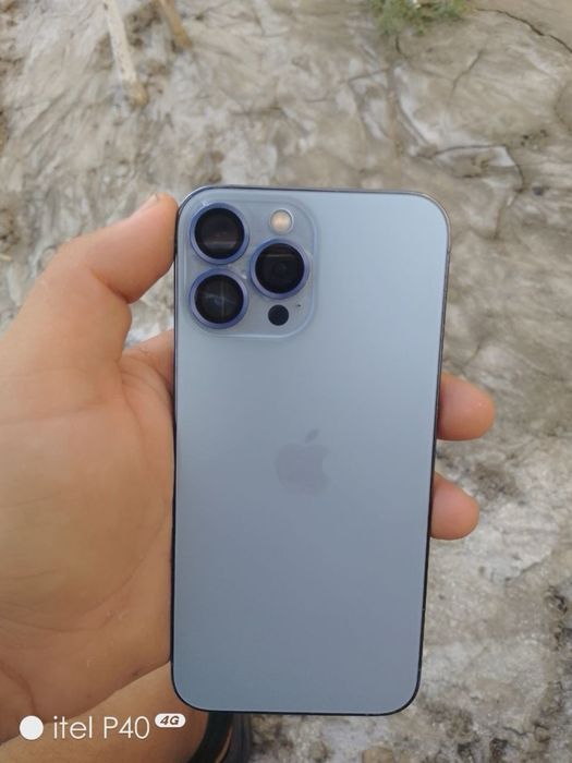 iPhone 13 Pro Max 256/100%