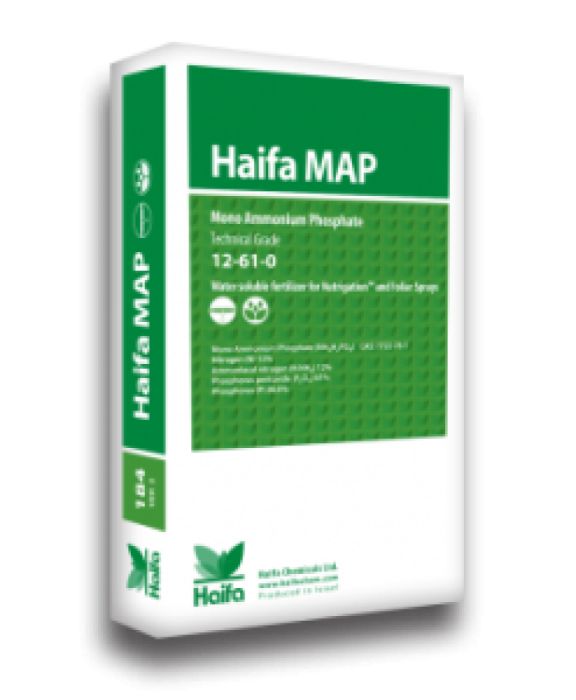 HAIFA MAP (12-61-0)