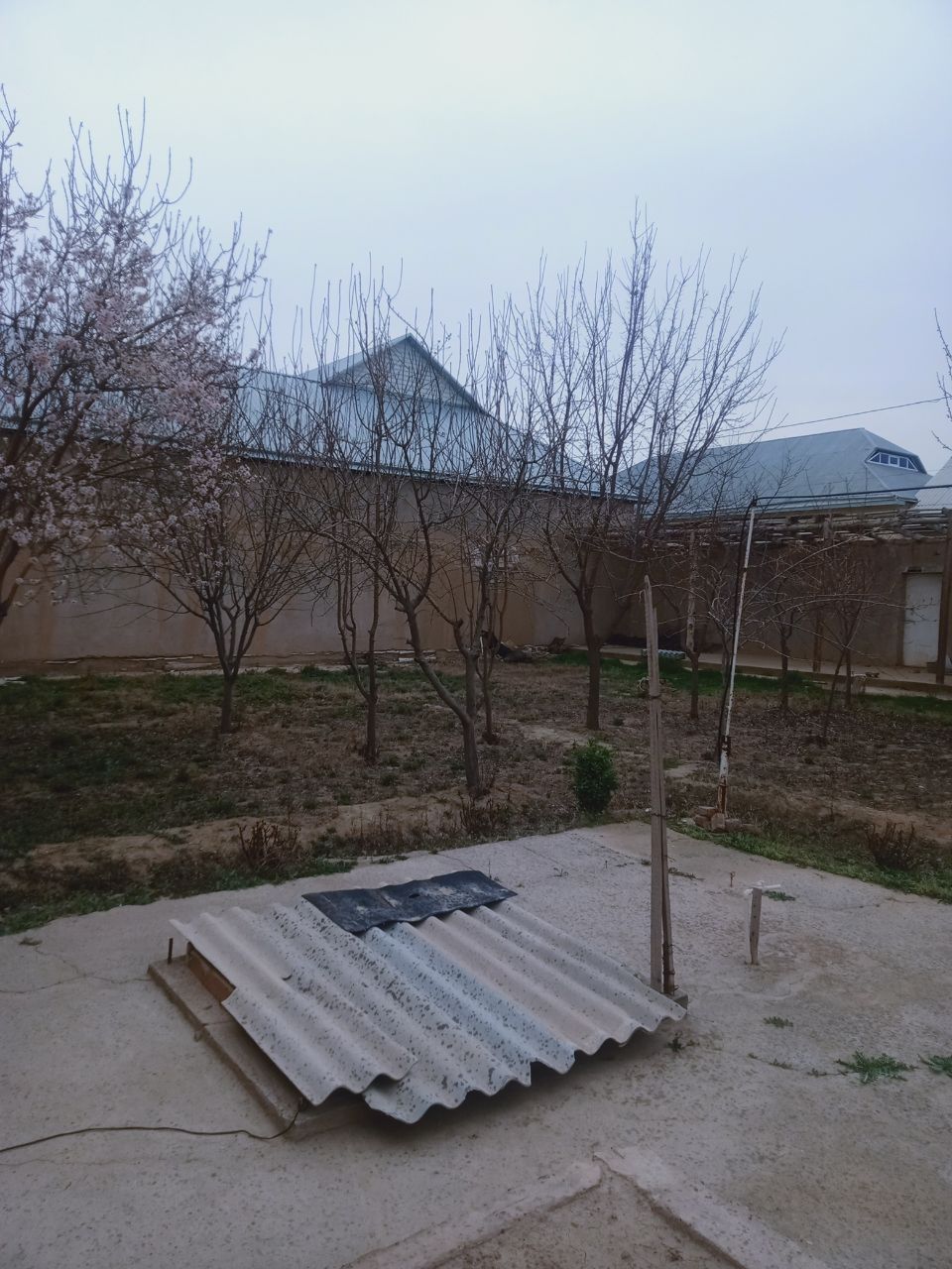 Продаётся участок город Термез  сурхандаринский обл 8сотик 7комнот.