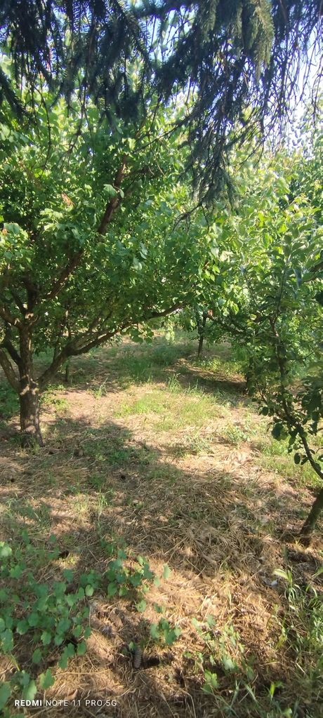 Продава се Къща в Лом - 1800 кв.м за 23 €/кв.м - Снимка #10