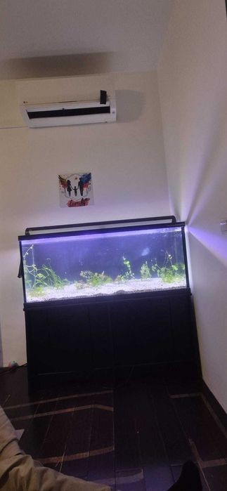 Acvariu 180 litri cu stand