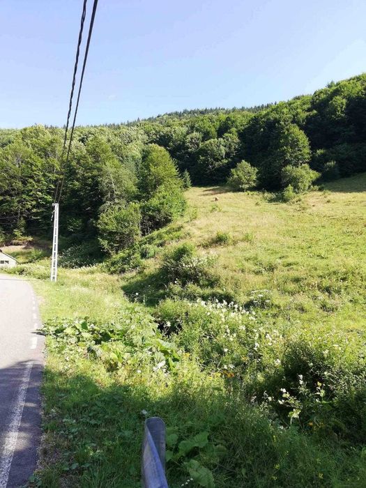 Vand teren intravilan in Rachitele