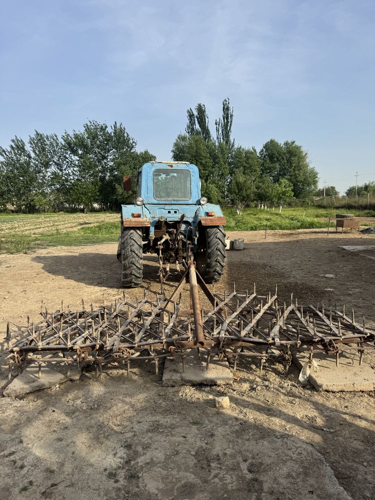 Трактор беларус
