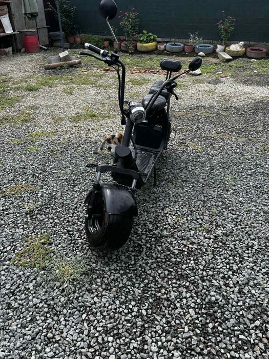 Motoreta electrică