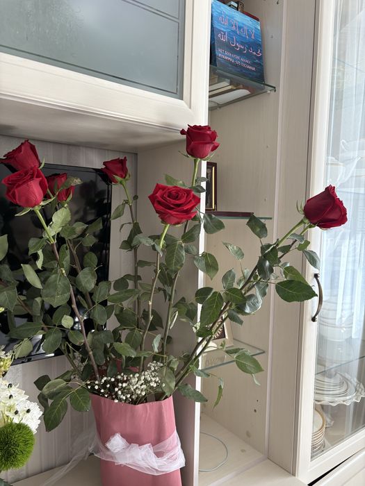 Голландские красные розы