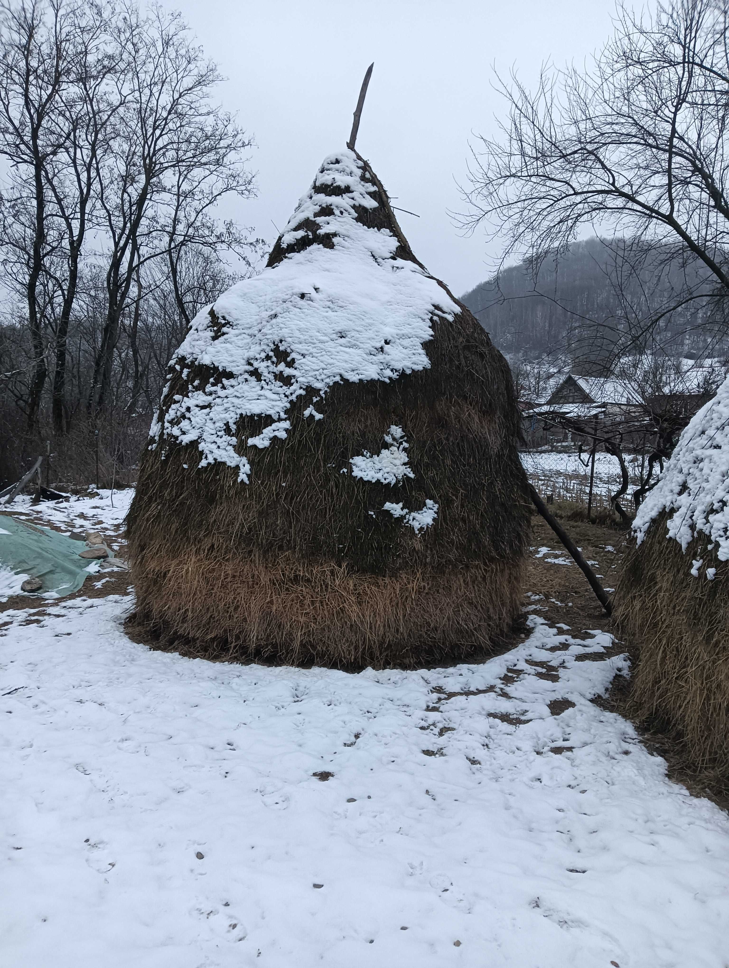 Fân de vanzare bun, fân de plaț!