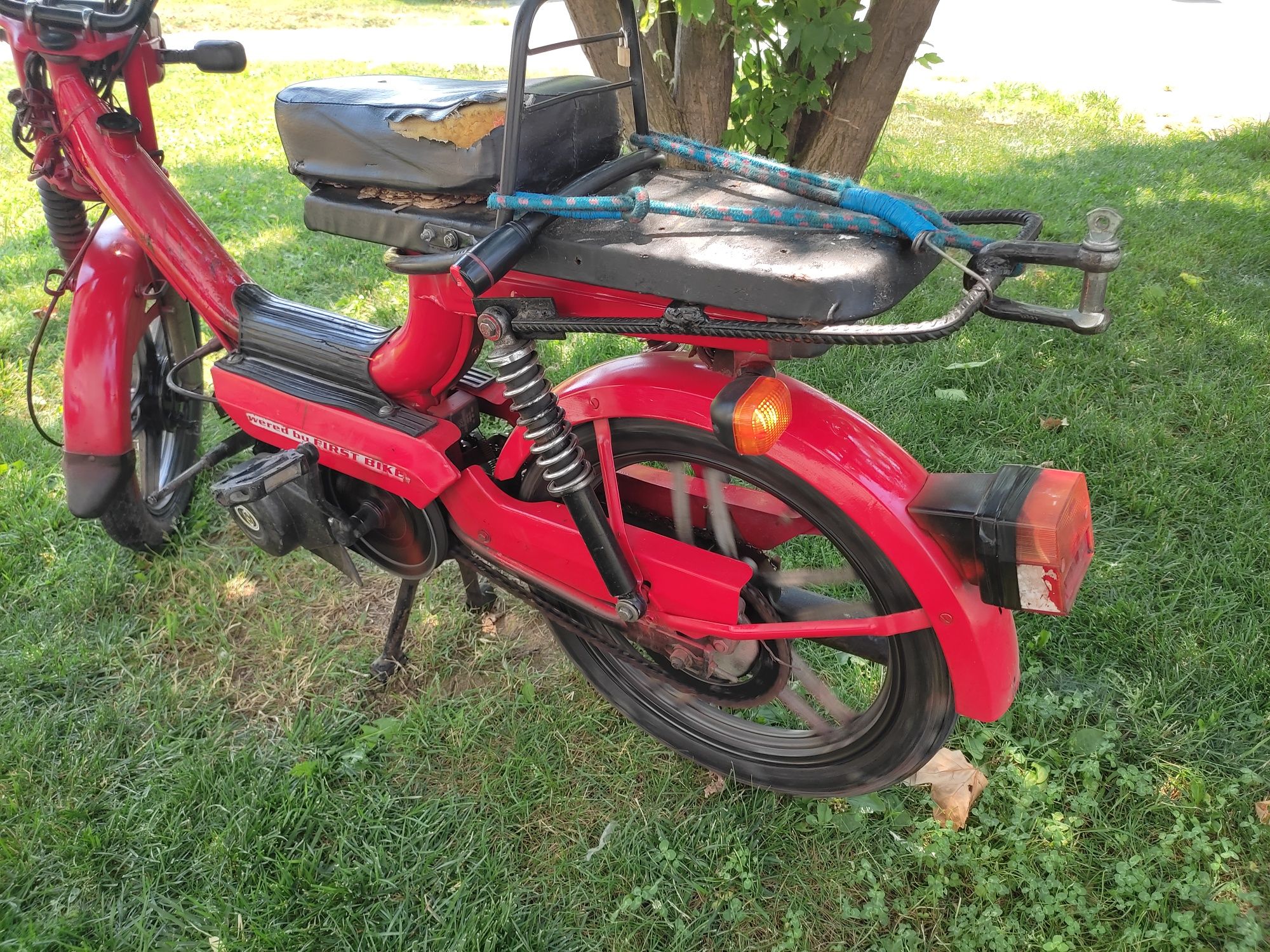 Moped froiz bike