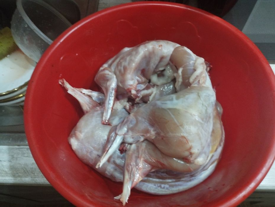Продам мясо кролика