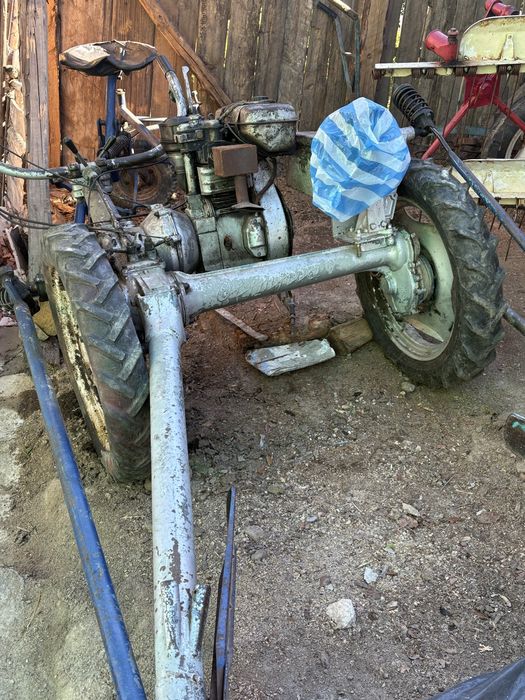 Косача лабардони