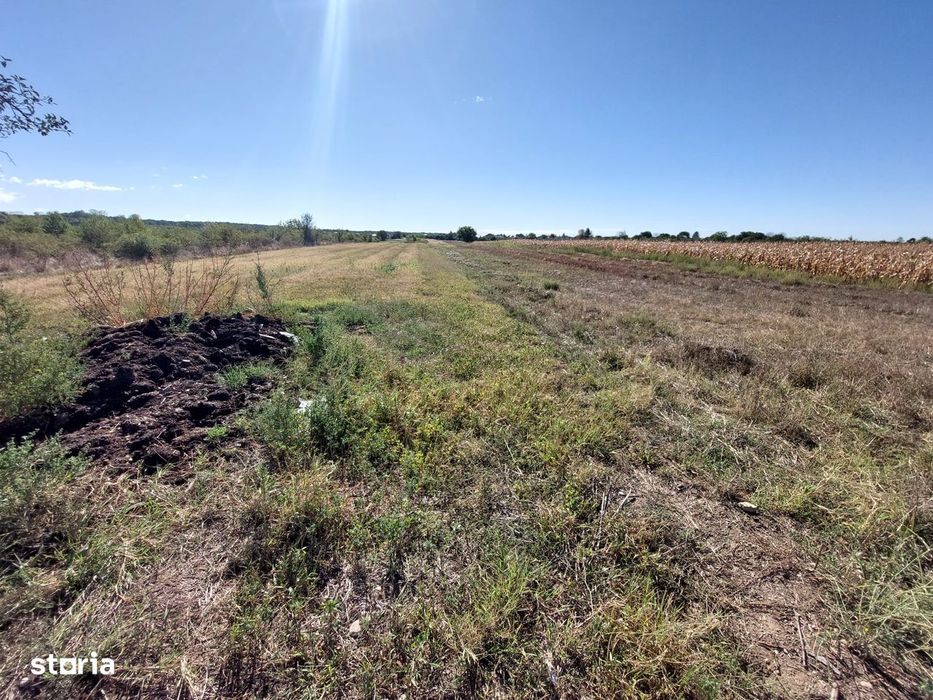 COMISION O , teren extravilan 2894 mp, Dragomiresti