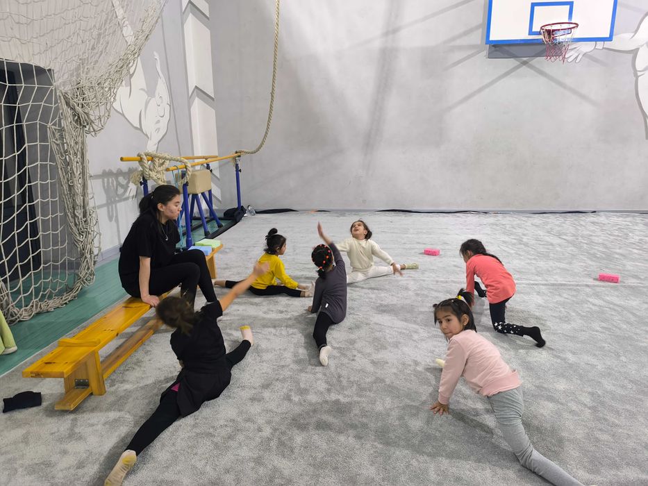 Кавер для гимнастики