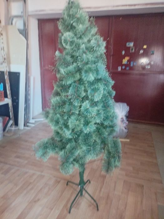 Елка, шырша, Jordan