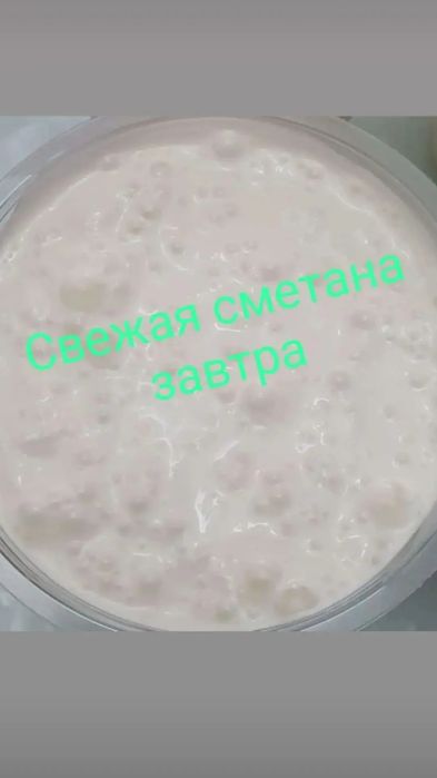 Свежая сметана 0.5 л 2500 тг
