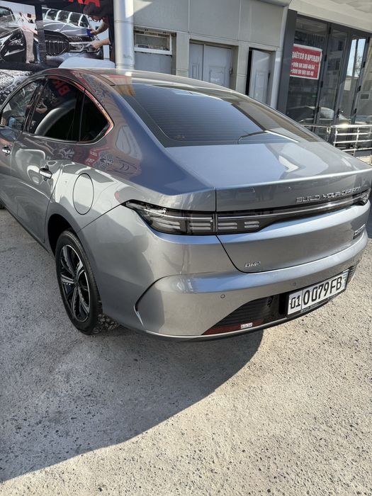 Chazor 2023  kraska toza