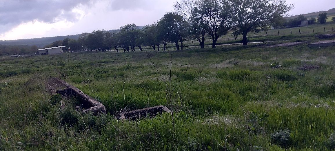 Недвижим имот, парцел