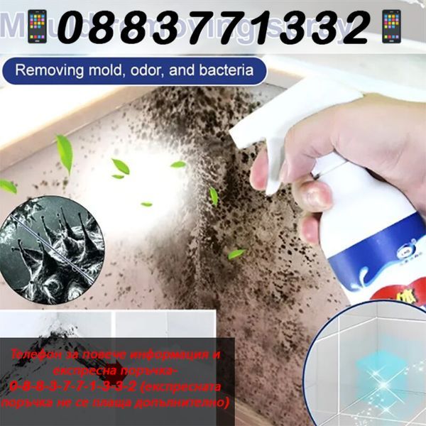 Средство за премахване на мухъл и плесен с дълготраен –MoldWallRemover