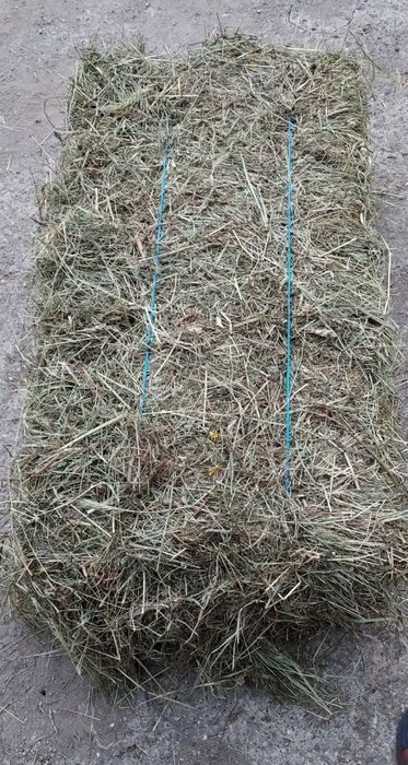 Baloți de fân  schimb pe animale