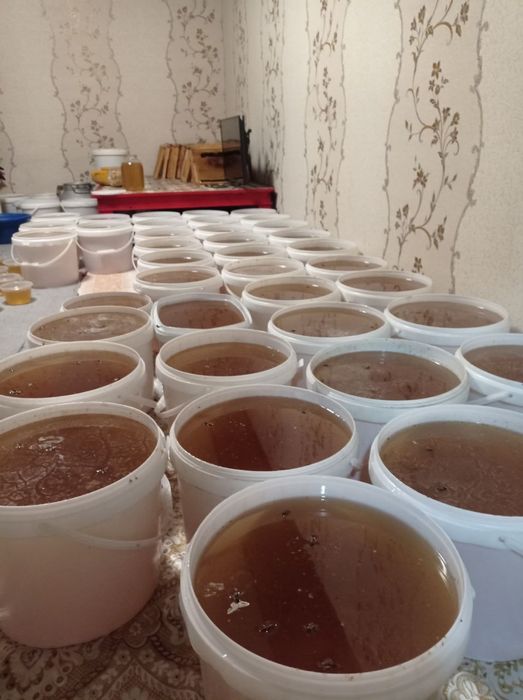 Сифатли тог ва пахта асал