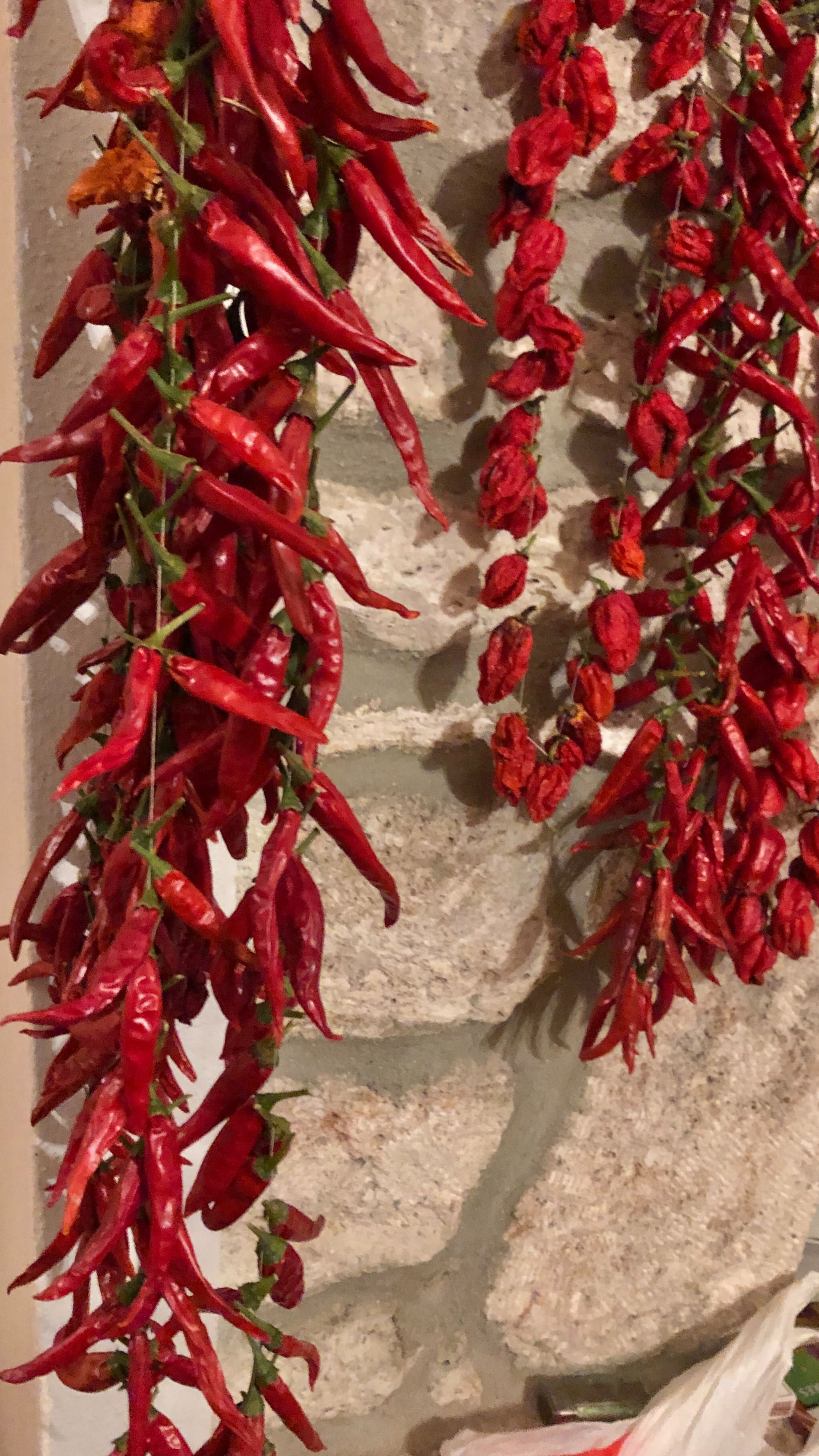 Каролина Хабанеро Халапеньо Тай Чили люти чушки семена chili
