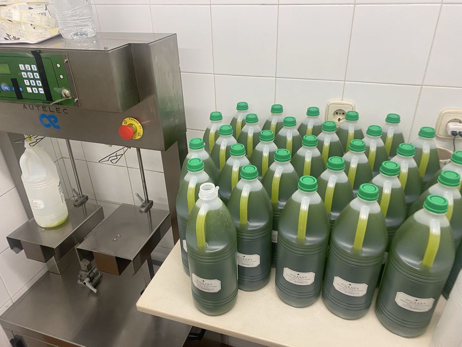 Ulei Presat la rece de masline extravirgin