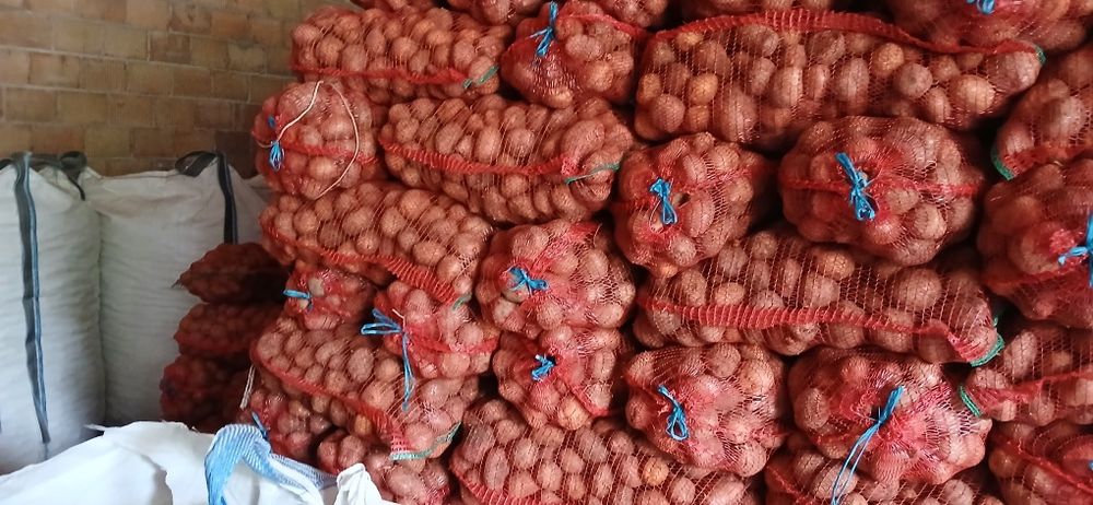 Cartof consum alb sí rosu