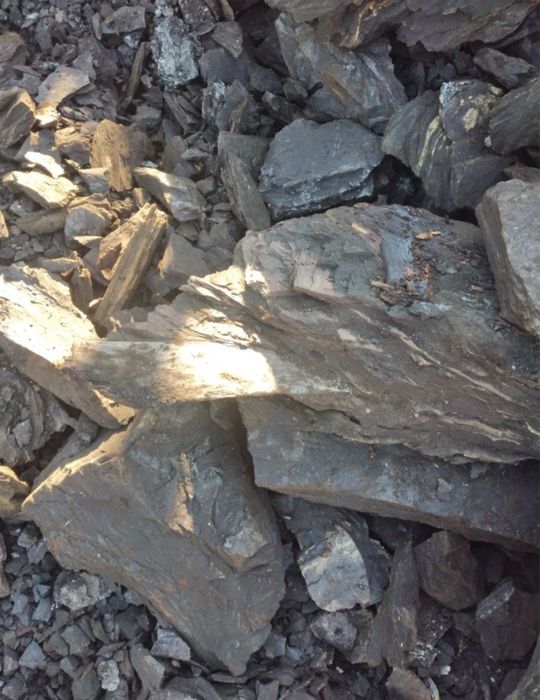 Carbune lignit foarte bun