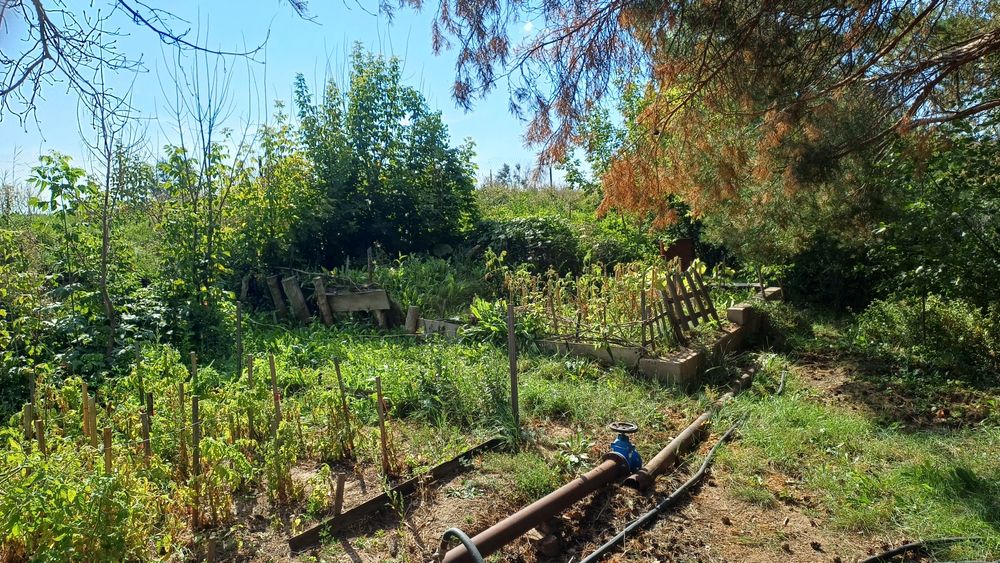 Продается дача на Федоровке