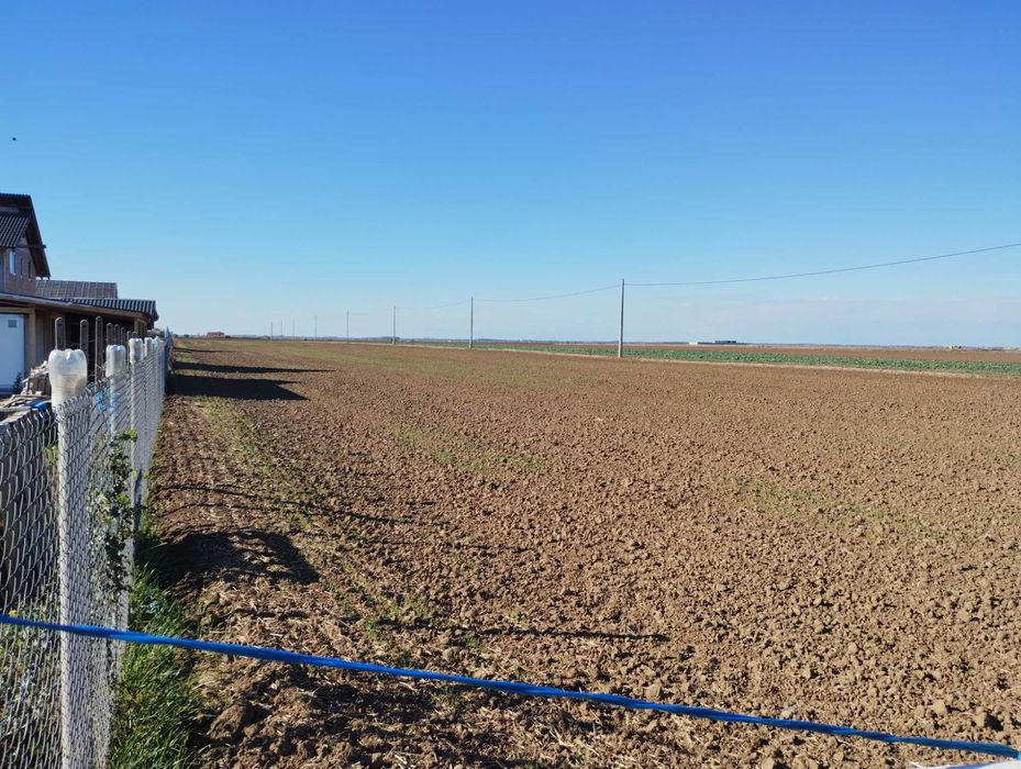 Vând  parcelele in Livada de  Bihor