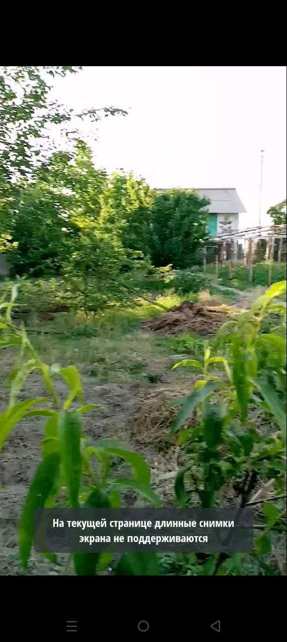 Дача сотилади 6 сотих