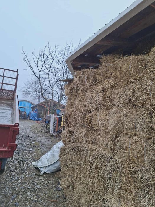 Vand baloti de fan si de otava