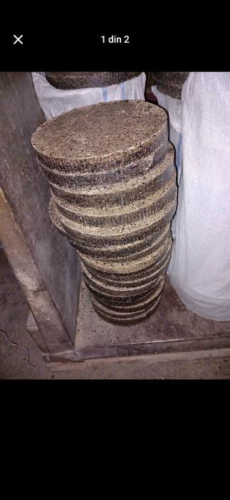 Turta floarea soarelui (pogace)