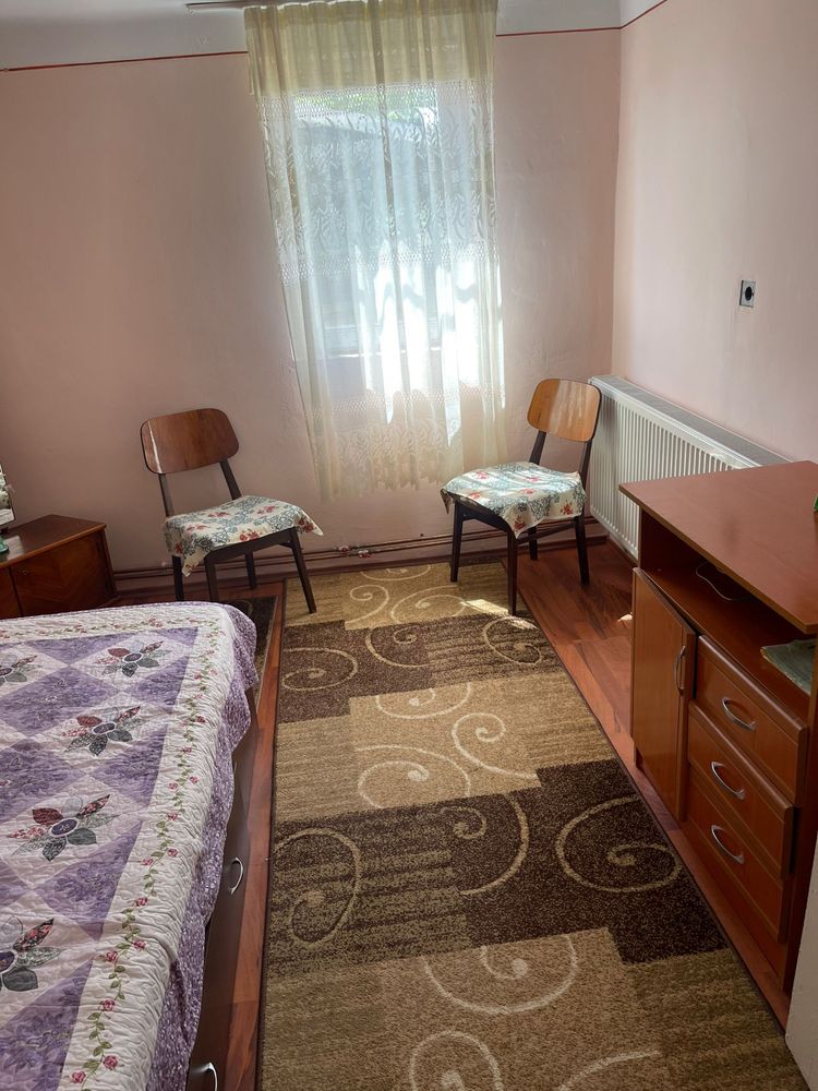 Casa de vanzare in comuna negoiesti