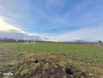 Teren intravilan in Halchiu, 2 parcele, COMISION 0