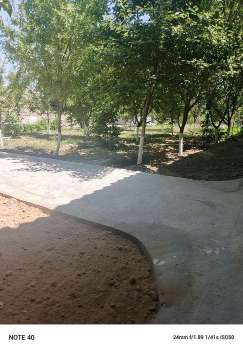 Toytepa dacha 6 sotix srochna