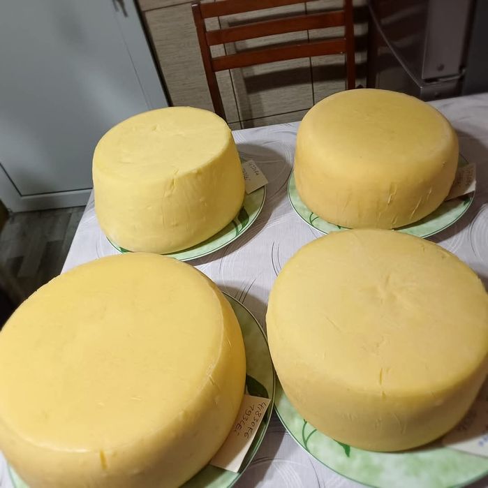 Caș din lapte de vaca 40 lei kg