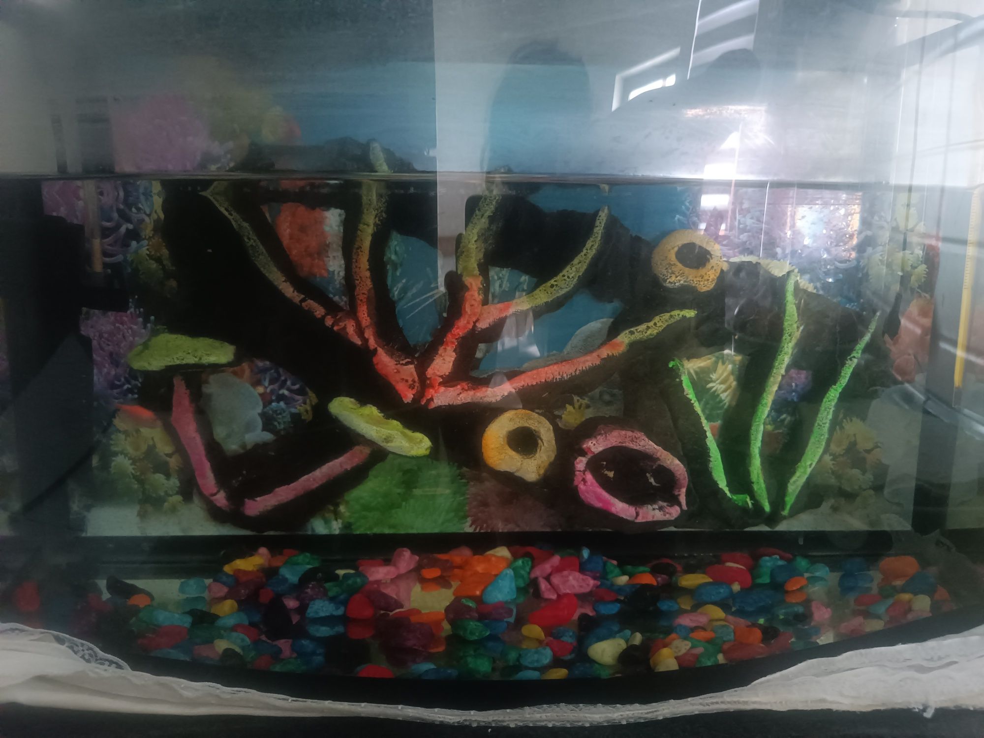 Akvarium filts svetelnik termometr suv isitgich