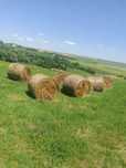 Vând baloți rotunzi de fân,120/120, preț 160  lei bucata, tel [hidden