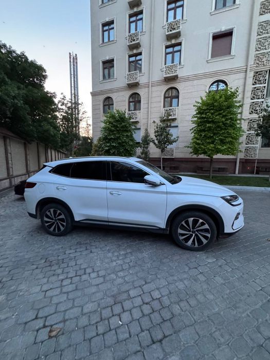 Byd son chempion