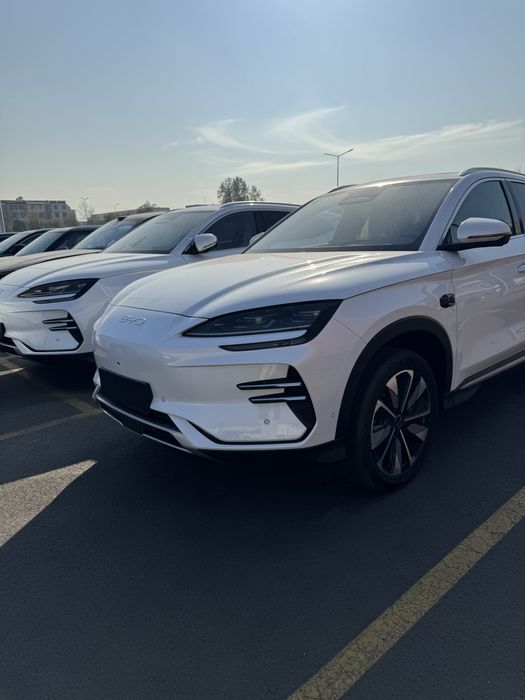 byd champion oq rangi