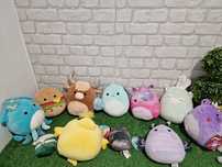 Скуишита Squishmallow различни видове